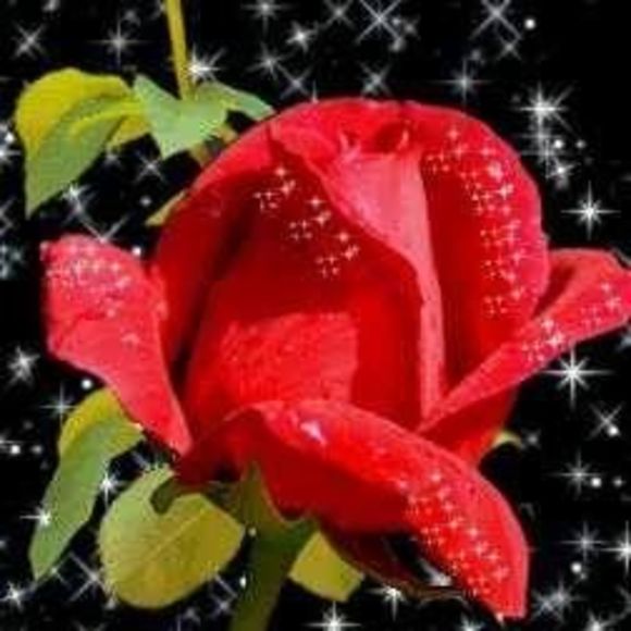 Meet your Posher, Villagrana - Picture 1 of 1